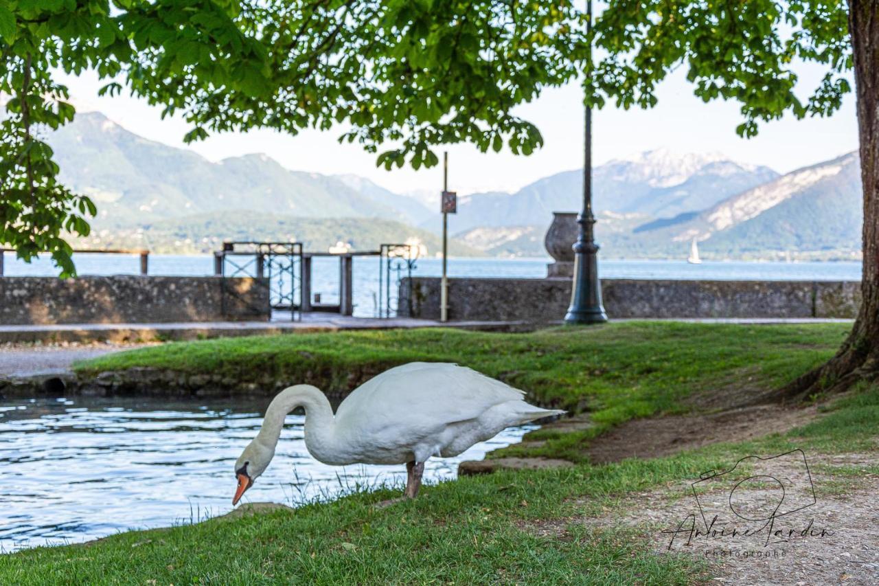 L'Amedee - Appt A 500M Du Lac Annecy Esterno foto